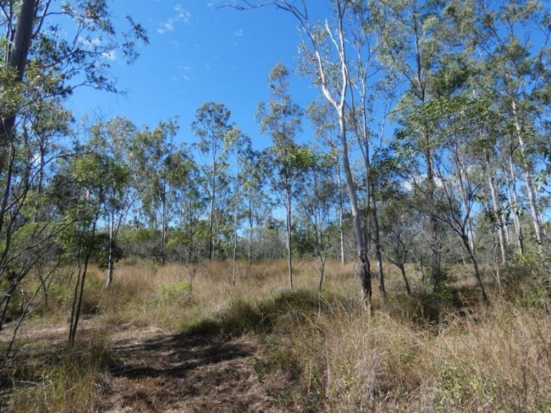 Lot 4 Neils Road, Rosedale QLD 4674