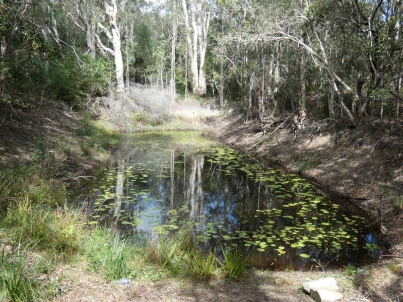 291 Muller Road, Baffle Creek QLD 4674