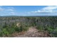 1595 Tableland Road, Mount Maria QLD 4674