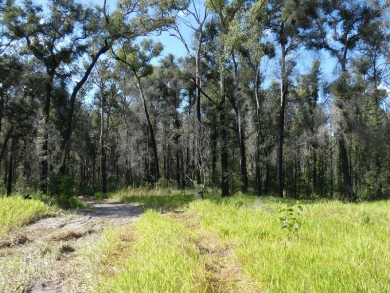1595 Tableland Road, Mount Maria QLD 4674