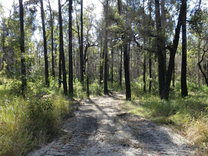 1595 Tableland Road, Mount Maria QLD 4674