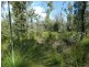 1595 Tableland Road, Mount Maria QLD 4674