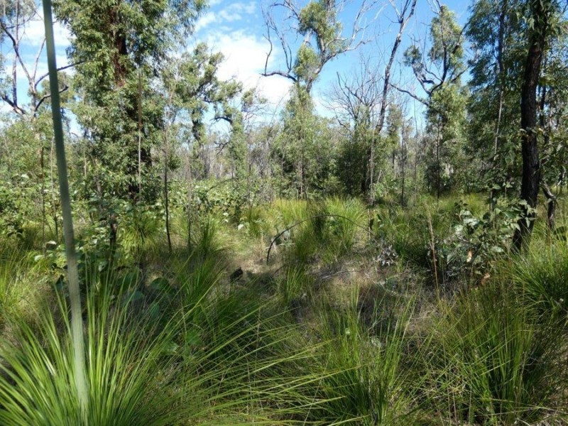 1595 Tableland Road, Mount Maria QLD 4674
