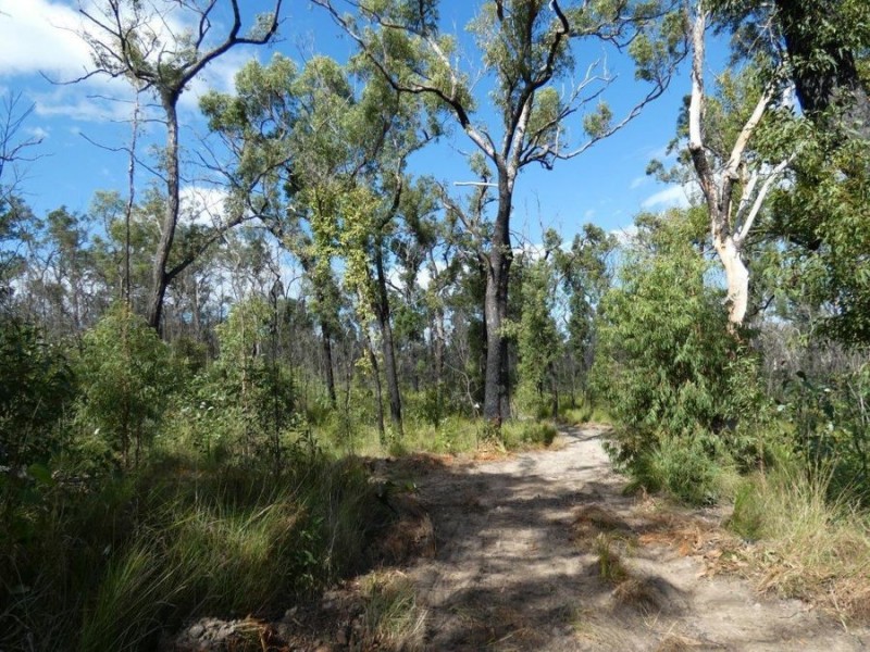1595 Tableland Road, Mount Maria QLD 4674