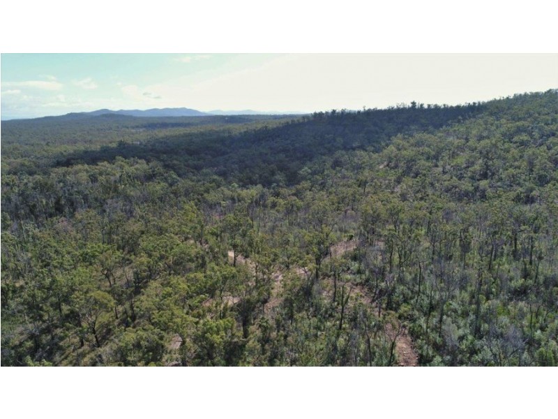 1595 Tableland Road, Mount Maria QLD 4674