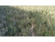 1595 Tableland Road, Mount Maria QLD 4674