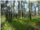 1595 Tableland Road, Mount Maria QLD 4674