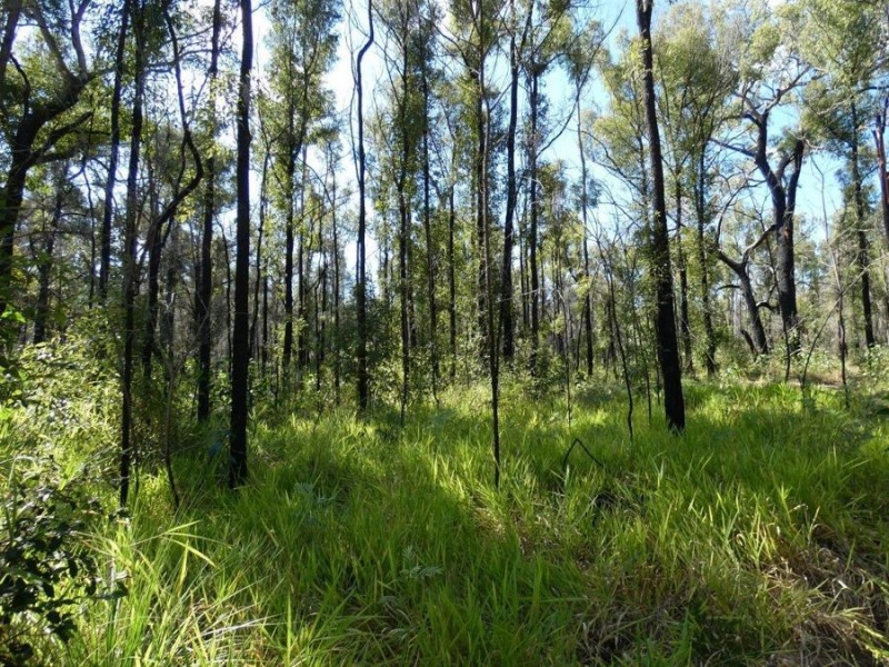 1595 Tableland Road, Mount Maria QLD 4674
