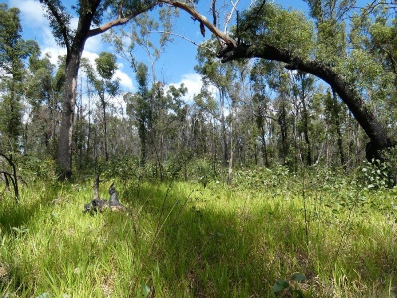 1595 Tableland Road, Mount Maria QLD 4674
