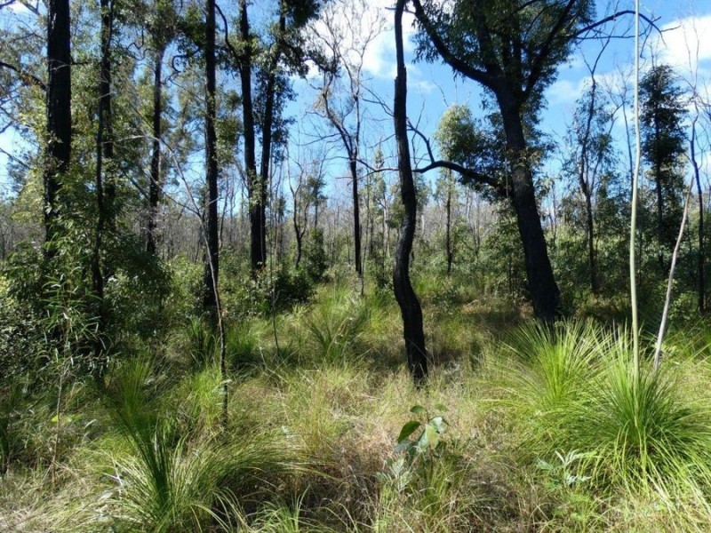 1595 Tableland Road, Mount Maria QLD 4674