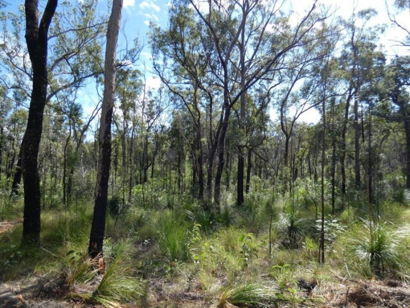 1595 Tableland Road, Mount Maria QLD 4674