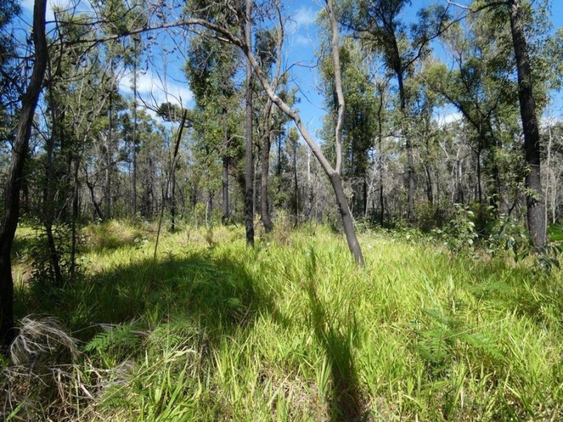 1595 Tableland Road, Mount Maria QLD 4674