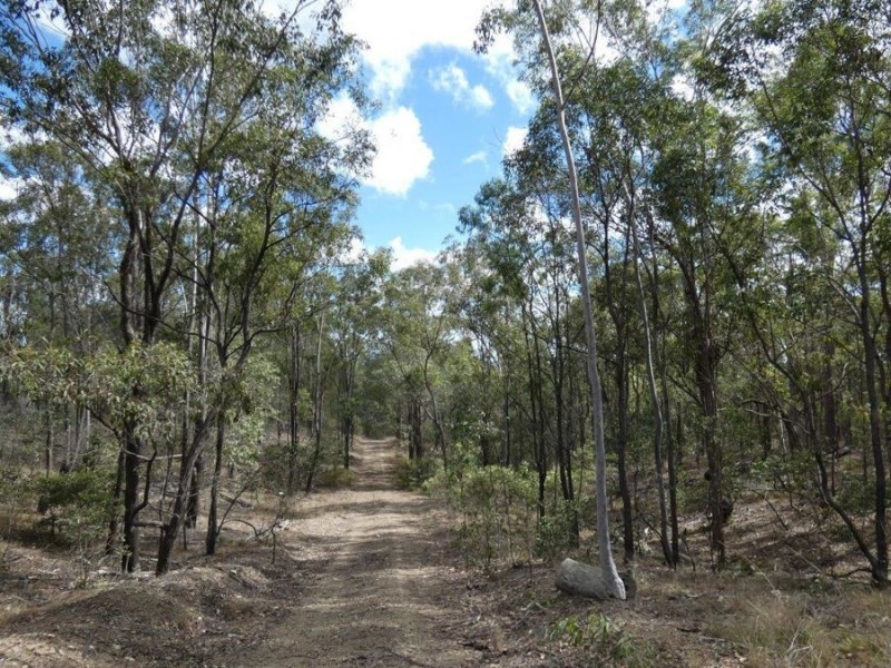 388 Mineral Road, Rosedale QLD 4674