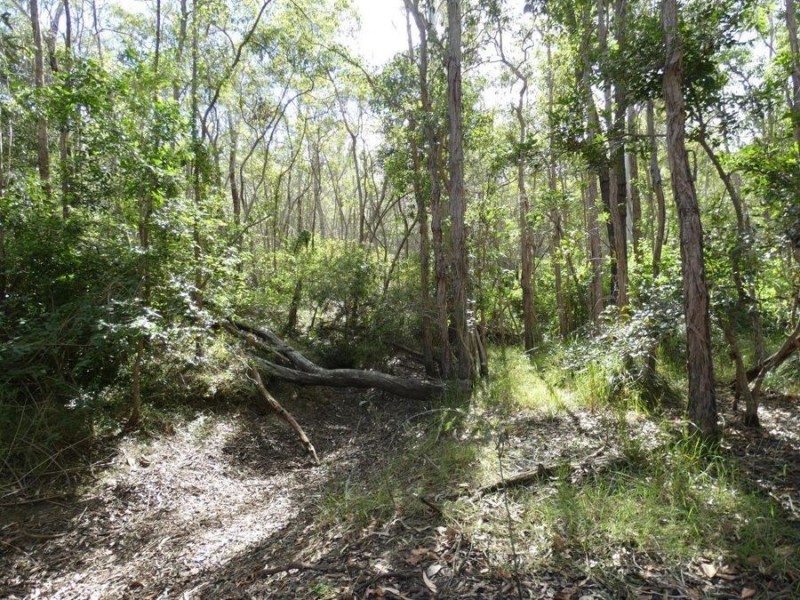 388 Mineral Road, Rosedale QLD 4674