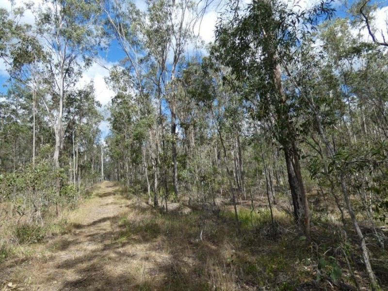 388 Mineral Road, Rosedale QLD 4674