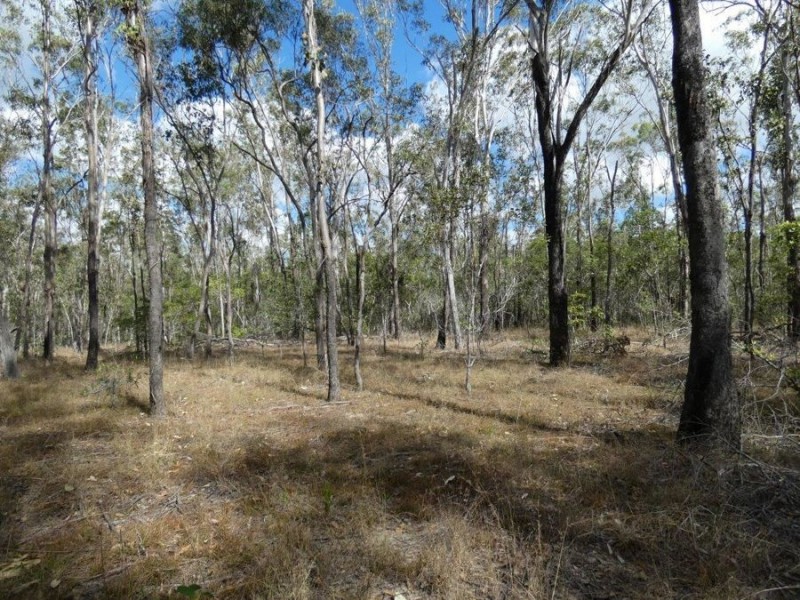 388 Mineral Road, Rosedale QLD 4674