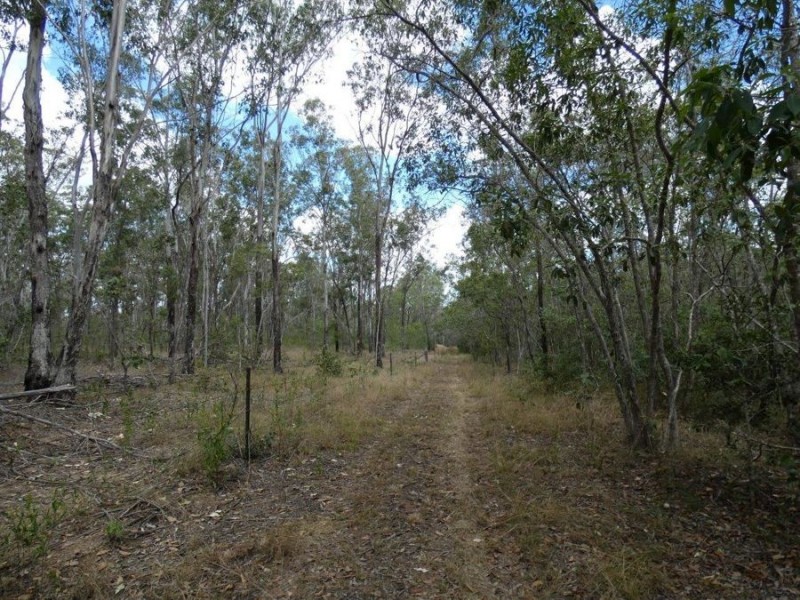 388 Mineral Road, Rosedale QLD 4674