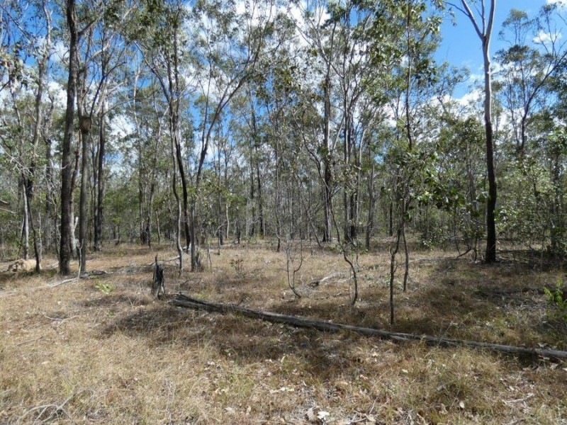 388 Mineral Road, Rosedale QLD 4674