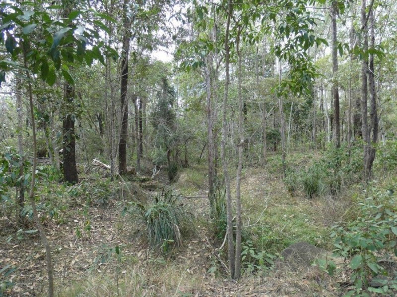 388 Mineral Road, Rosedale QLD 4674