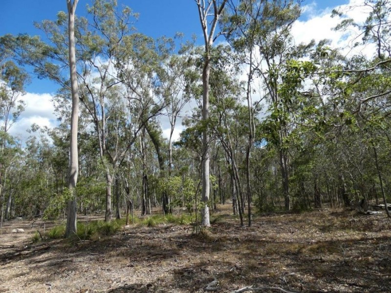 388 Mineral Road, Rosedale QLD 4674