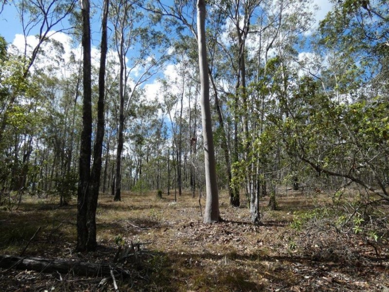 388 Mineral Road, Rosedale QLD 4674