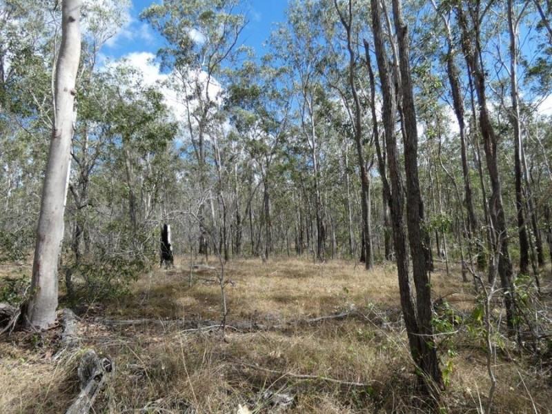 388 Mineral Road, Rosedale QLD 4674