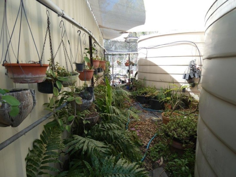 98 Dovedale Road, Miriam Vale QLD 4677