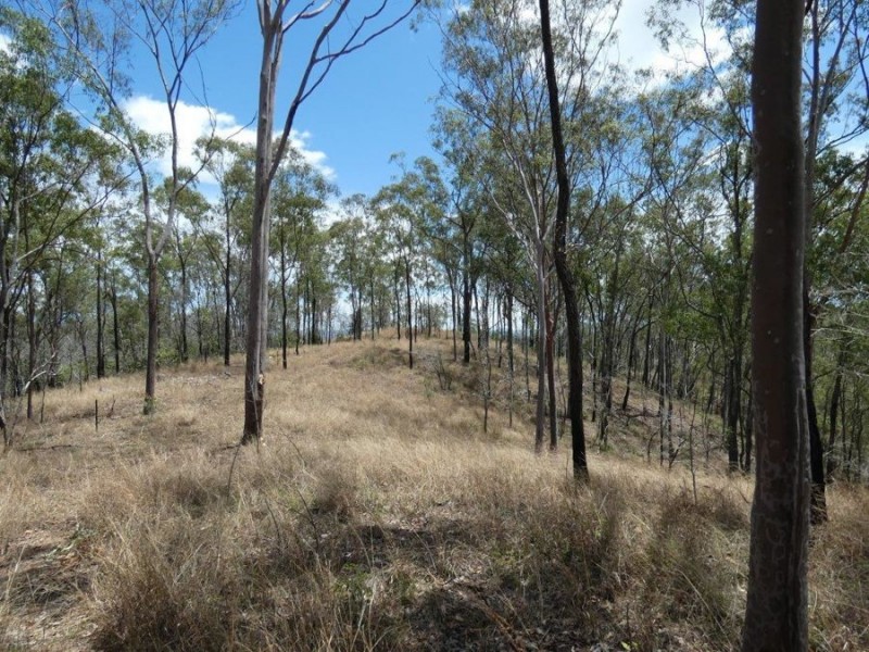 458 Clarke Road, Lowmead QLD 4676