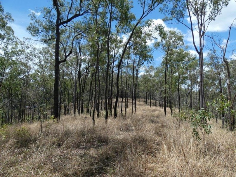 458 Clarke Road, Lowmead QLD 4676