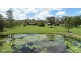 272 Taunton Road, Euleilah QLD 4674