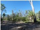 Lot 165 Capricornia Drive, Deepwater QLD 4674