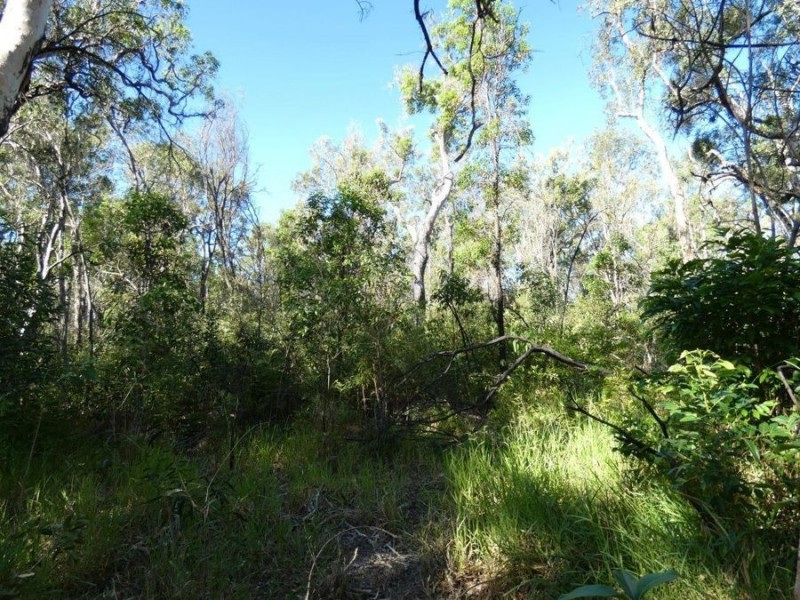 Lot 165 Capricornia Drive, Deepwater QLD 4674