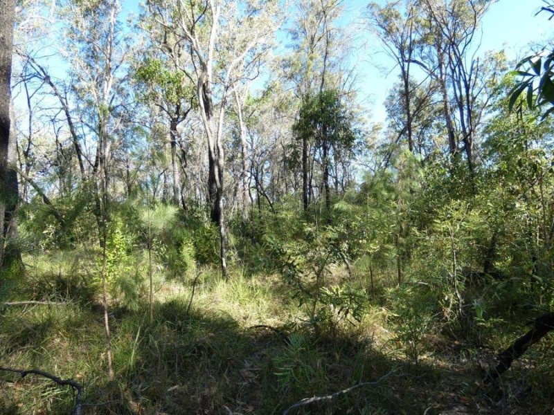 Lot 165 Capricornia Drive, Deepwater QLD 4674