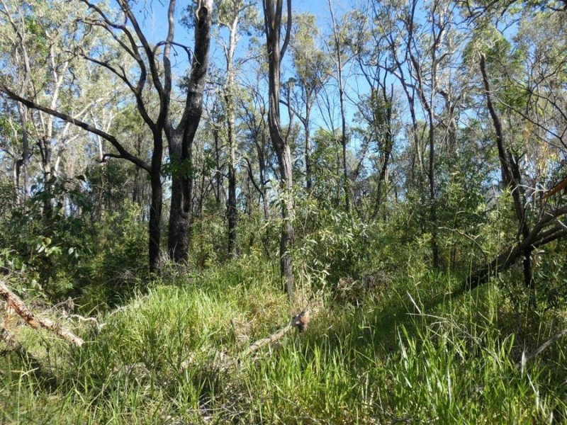 Lot 165 Capricornia Drive, Deepwater QLD 4674