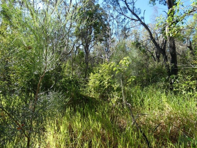 Lot 165 Capricornia Drive, Deepwater QLD 4674