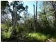 Lot 165 Capricornia Drive, Deepwater QLD 4674
