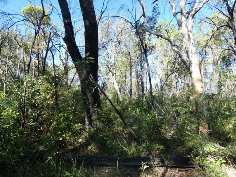 Lot 165 Capricornia Drive, Deepwater QLD 4674
