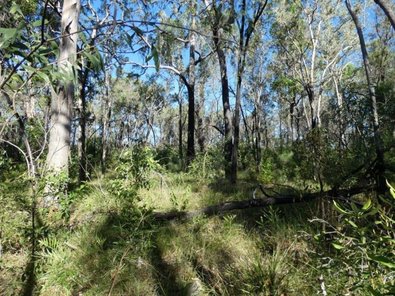 Lot 165 Capricornia Drive, Deepwater QLD 4674