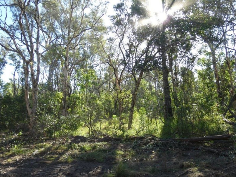 Lot 165 Capricornia Drive, Deepwater QLD 4674