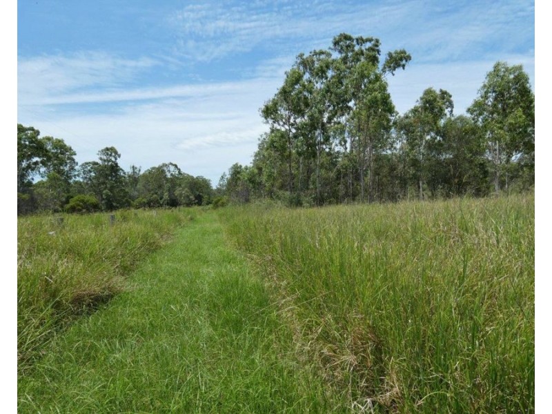 56 Taunton Road, Euleilah QLD 4674