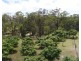 1341 Tableland Road, Mount Maria QLD 4674