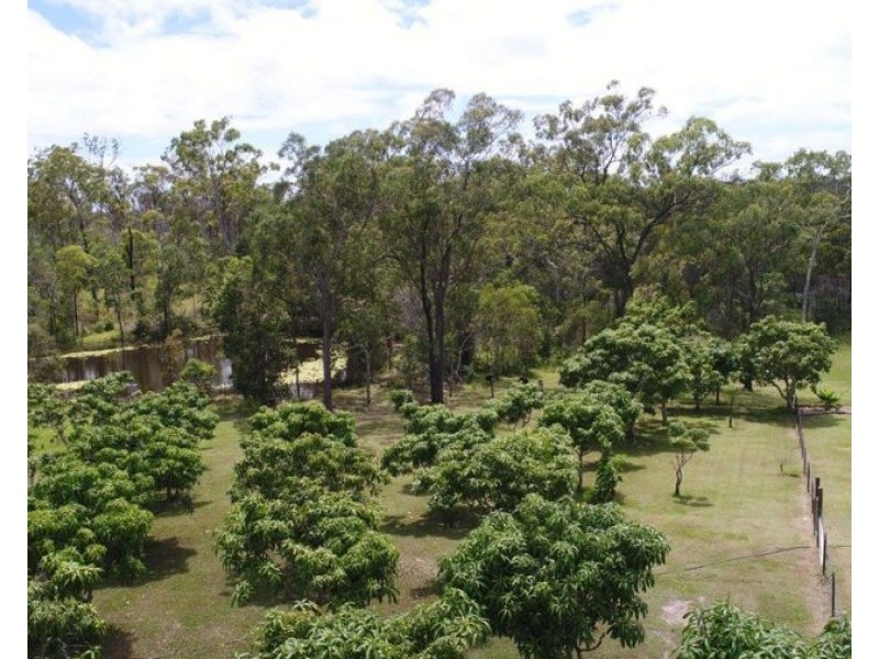 1341 Tableland Road, Mount Maria QLD 4674