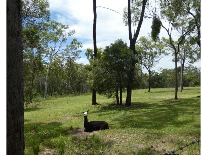 1341 Tableland Road, Mount Maria QLD 4674