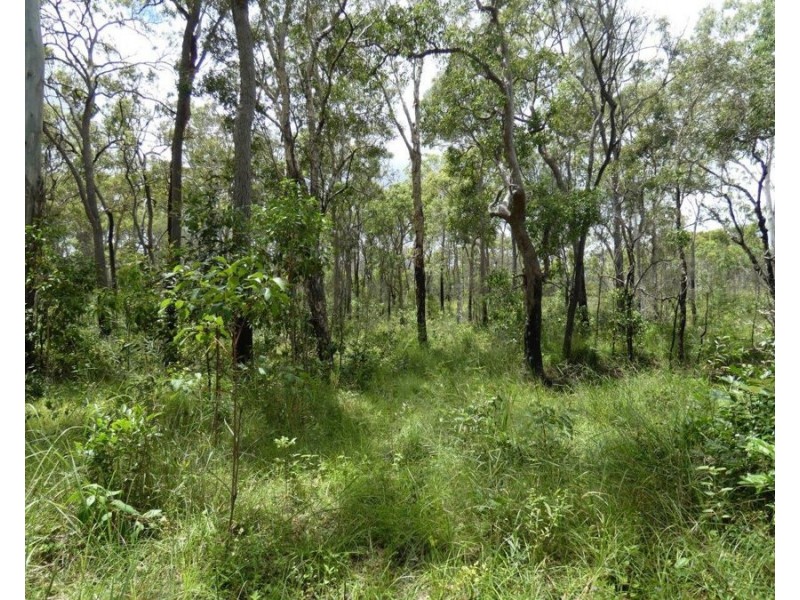 1341 Tableland Road, Mount Maria QLD 4674