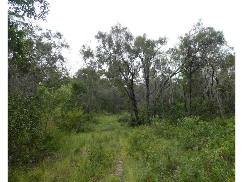 1341 Tableland Road, Mount Maria QLD 4674