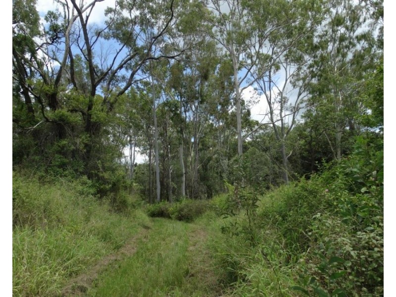 Lot 13 Lowmead Road, Lowmead QLD 4676