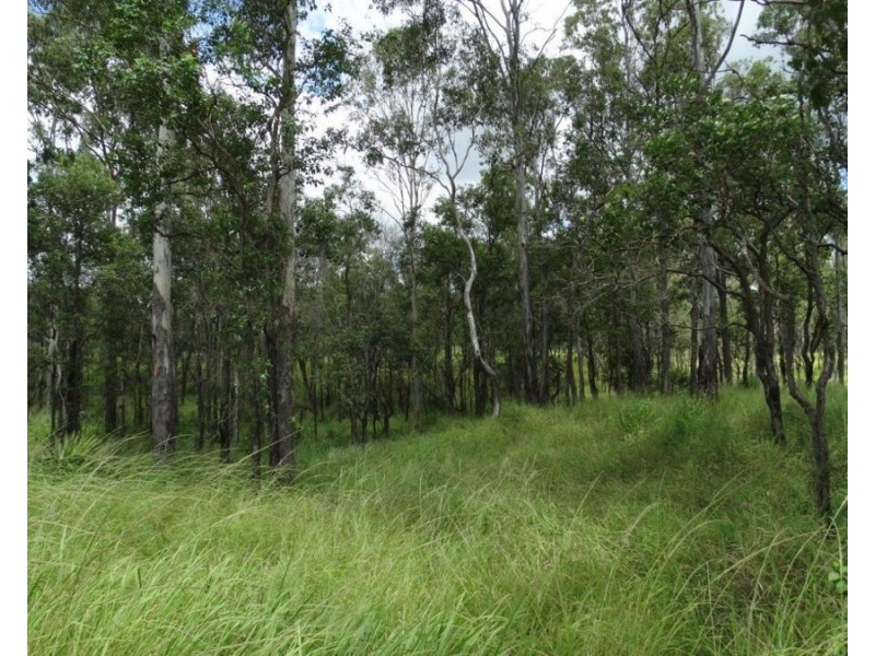 Lot 13 Lowmead Road, Lowmead QLD 4676