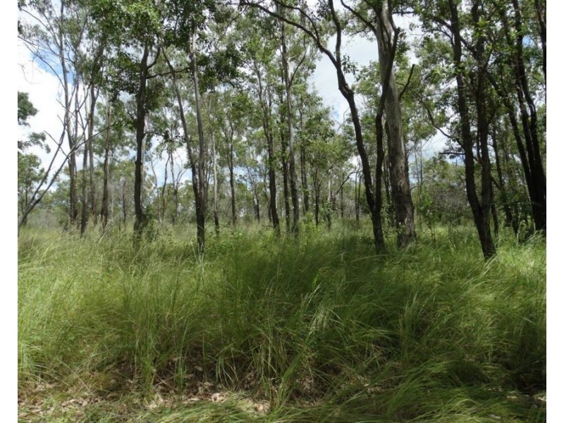 Lot 13 Lowmead Road, Lowmead QLD 4676