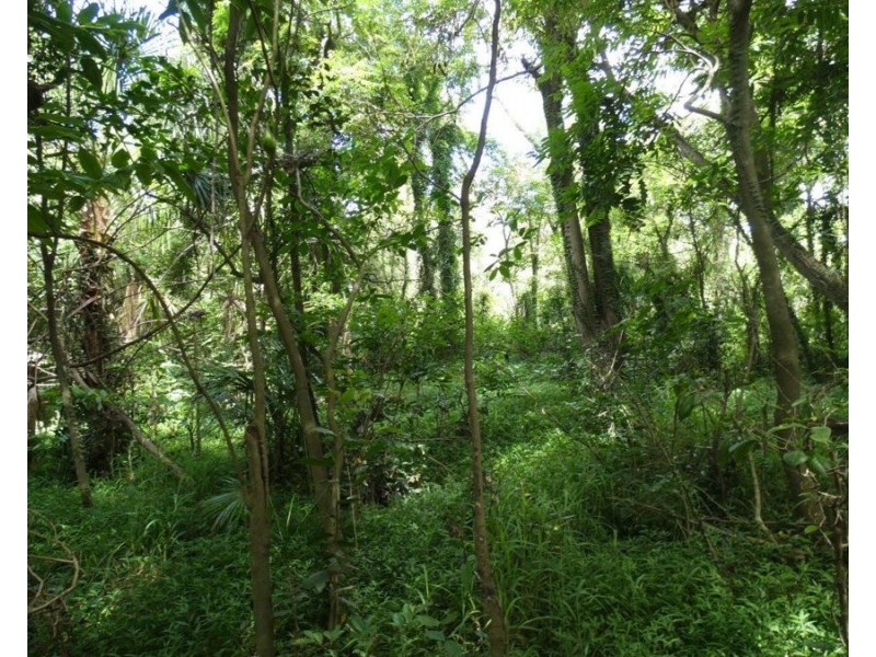 Lot 13 Lowmead Road, Lowmead QLD 4676