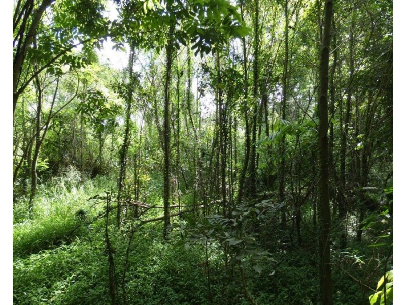 Lot 13 Lowmead Road, Lowmead QLD 4676